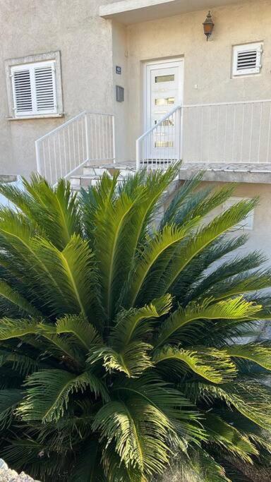 Apartment Biggy Cavtat Exterior photo